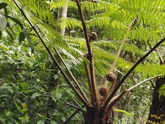 -赤水丹霞旅游区·佛光岩