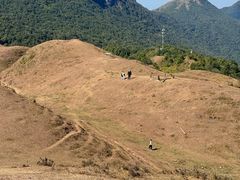 -天龙顶山地公园