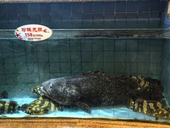 -快乐海鲜酒楼(滇池路店)