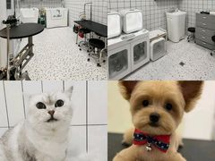 -BABIT巴比特宠物(MOMOPARK店)