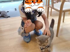 -猫咪派对(江南西店)