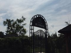 -金山农民画村-枫泾波兰倒置屋