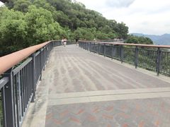 -金鸡山公园