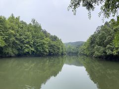-青龙山国家森林公园