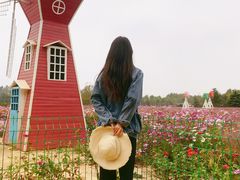 -日照灯塔风景区