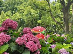 -上海共青森林公园