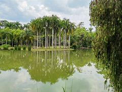 -中国科学院西双版纳热带植物园