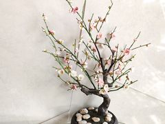 -哈尔滨圣安口腔专科医院