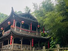 -武隆天坑寨子景区