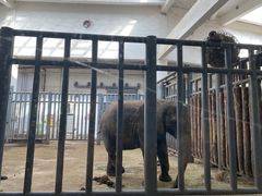 -鄂尔多斯野生动物园