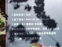 -海棠花溪(元大都城垣遗址公园)