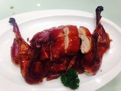 脆皮小乳鸭-圆苑(上海广场店)