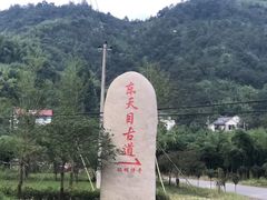 -东天目山风景区