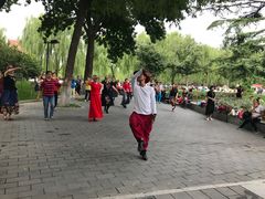 -丰台花园