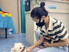 -芭比堂动物医院·24小时·眼科中心(深圳中心)