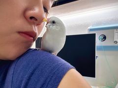 -雨林宠物医院 非犬猫异宠专科
