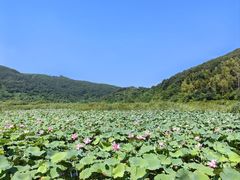 -南北湖风景区