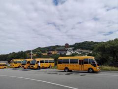 -普陀山雷迪森庄园