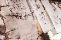 -忆江南婚礼策划(姑苏店)