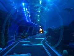 -成都浩海立方海洋公园