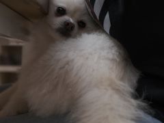 -零几体验diy皮具工作室(振业城店)