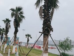 -九龙湖公园
