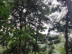 -封龙山风景区