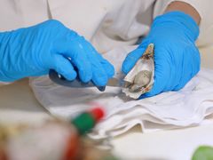 -上海和平饭店-华懋阁 The Cathay Room