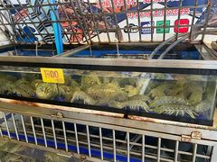 -两兄弟Song Pee Nong(2号店)