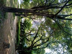 android_upload_pic-福建师范大学(仓山校区)