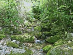 -终南山国家森林公园