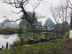 -广悦华阳朔河畔度假酒店(十里画廊遇龙河店)