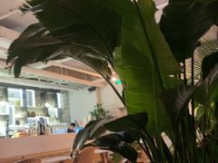 -the rug 飞毯 (朝阳公园店)