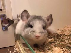 -龙猫仔乐园(惠福东路店)