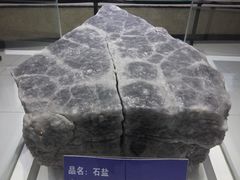 -青藏高原自然博物馆