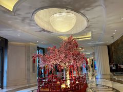 -常州武进九洲喜来登酒店