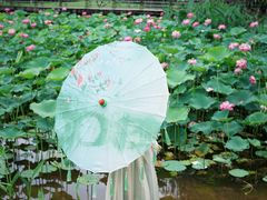 -沐仙湖湿地公园