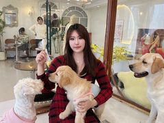 -共舞时光猫咖·狗咖(新街口店)