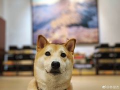-一叶一世界•素食餐厅(新光天地店)