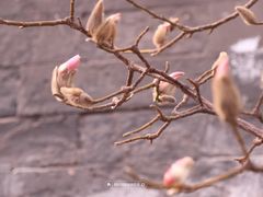 -东华门大街小区