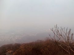 -紫金山山顶公园