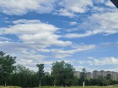 -汉长安城未央宫国家考古遗址公园