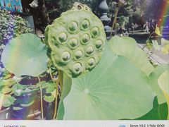 -哈尔滨极乐寺