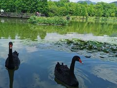 -浙江农林大学(东湖校区)