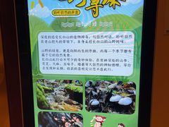 -长白山万达喜来登度假酒店