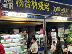 -杨合林啊兰烤鱼