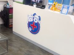 -暖阳宠物医院·犬猫康复中心·骨科