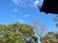-阿育王寺