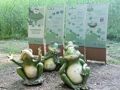 -同里国家湿地公园