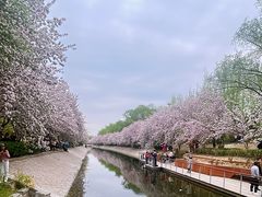 -海棠花溪(元大都城垣遗址公园)
